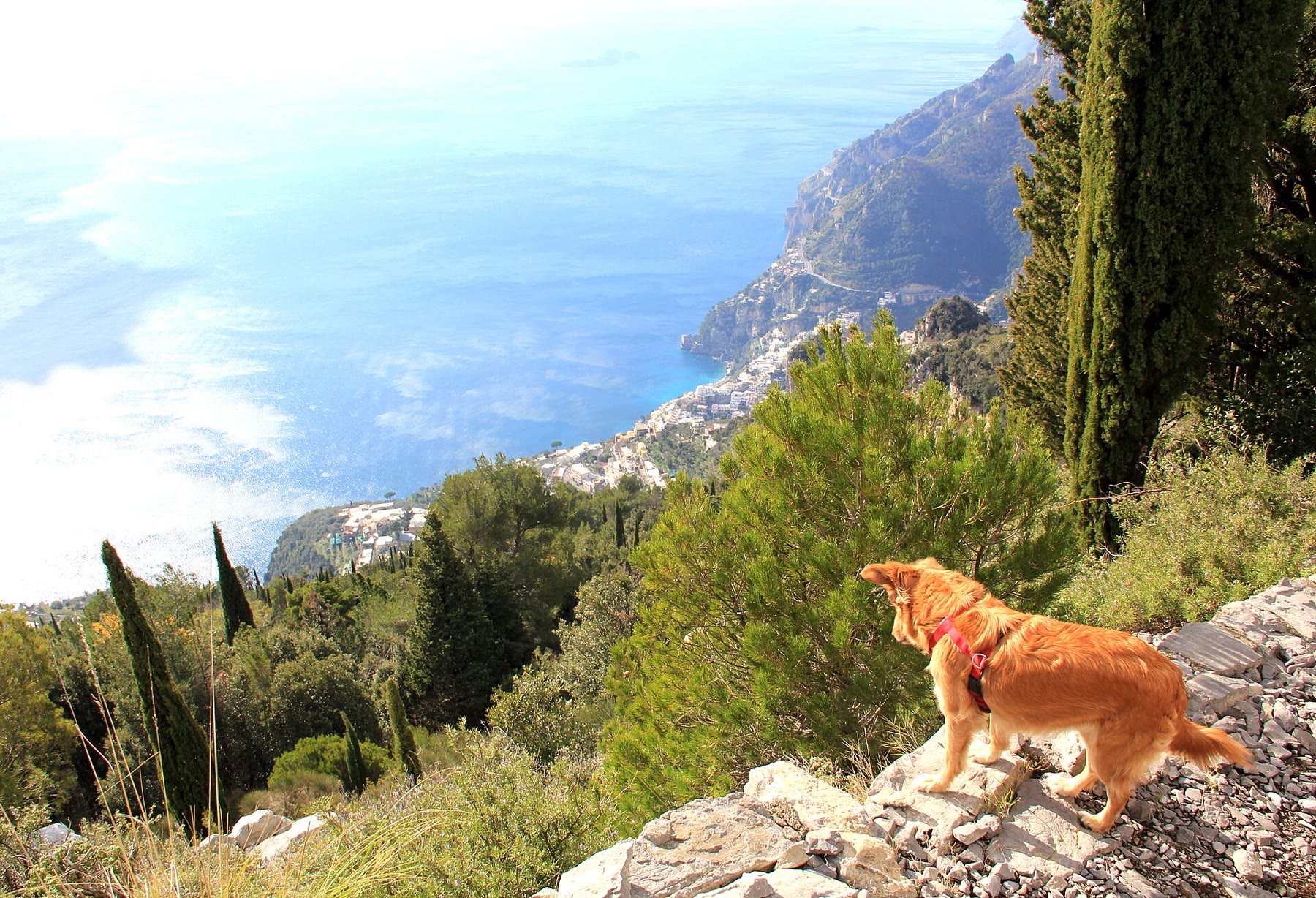 Path of the Gods ridge climate above the Amalfi Coast with Campania cliff and shared trail honesty still named