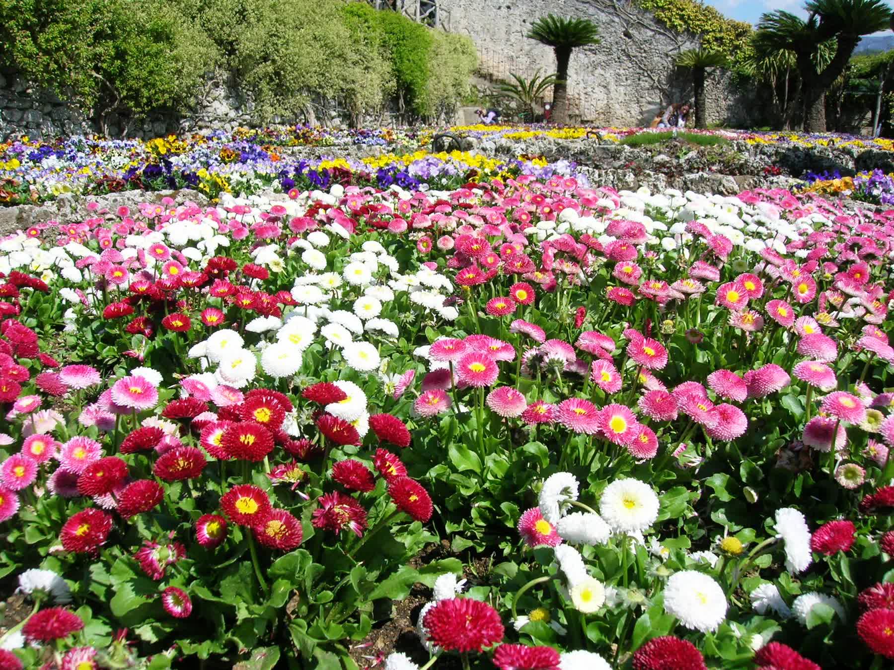 Villa Rufolo gardens and terraces in Ravello overlooking the Amalfi Coast for romance readers