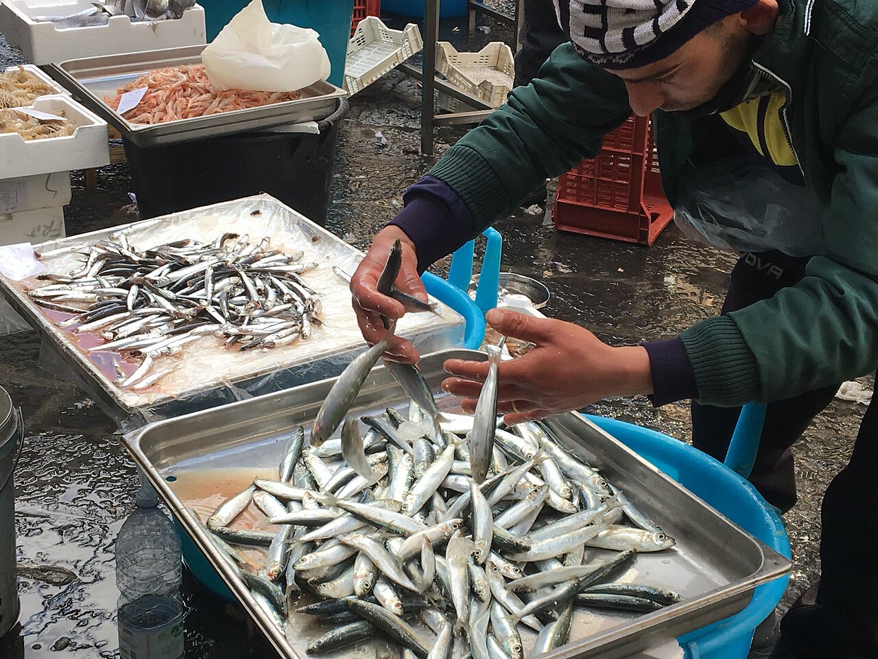 Catania fish market aisle for Sicilian market romance with ice, labor, and public density still honest beside adult desire